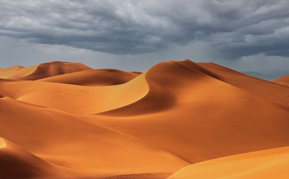 Stunning landscape of golden desert dunes under a dramatic cloudy sky.