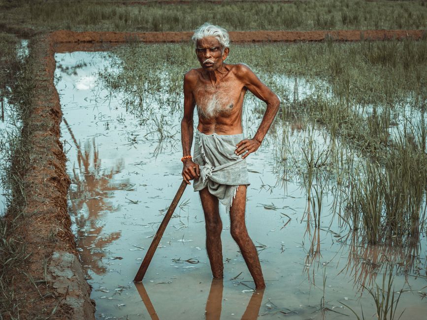 Psychology says older farmers who refuse life-changing offers from developers aren’t stubborn, they’ve simply lived long enough to watch what happens to neighbours who took the money and discovered afterwards that the land was doing something for them they hadn’t named yet